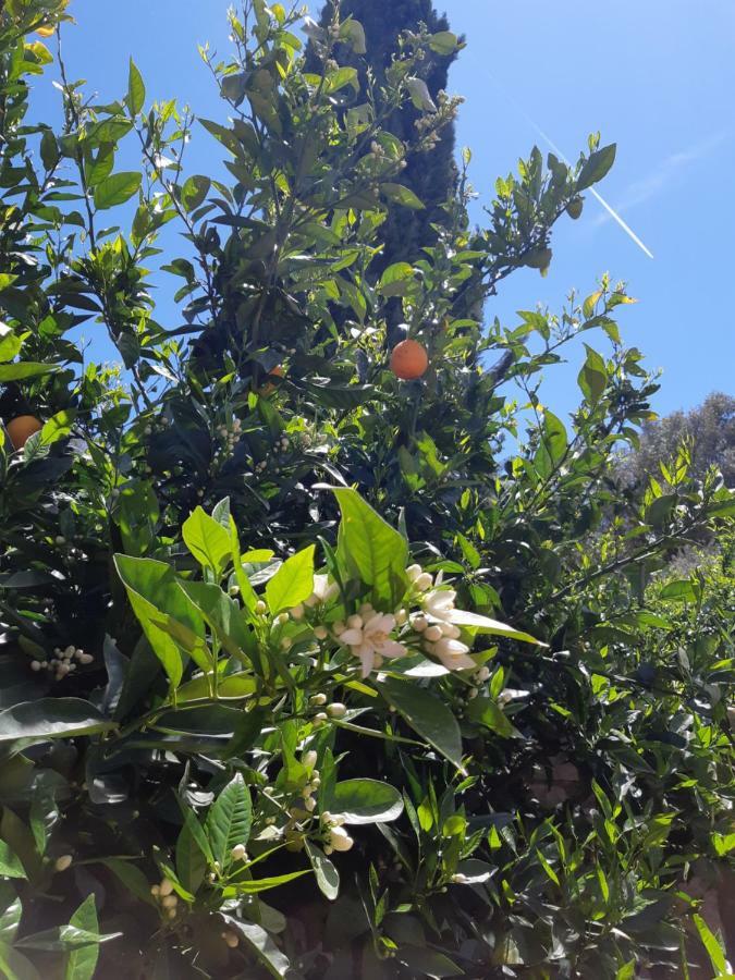 Villa Crapa Licca Ventimiglia di Sicilia Esterno foto
